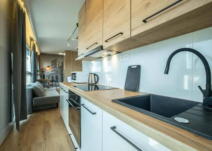 公寓 Wigurytower 63' 罗兹